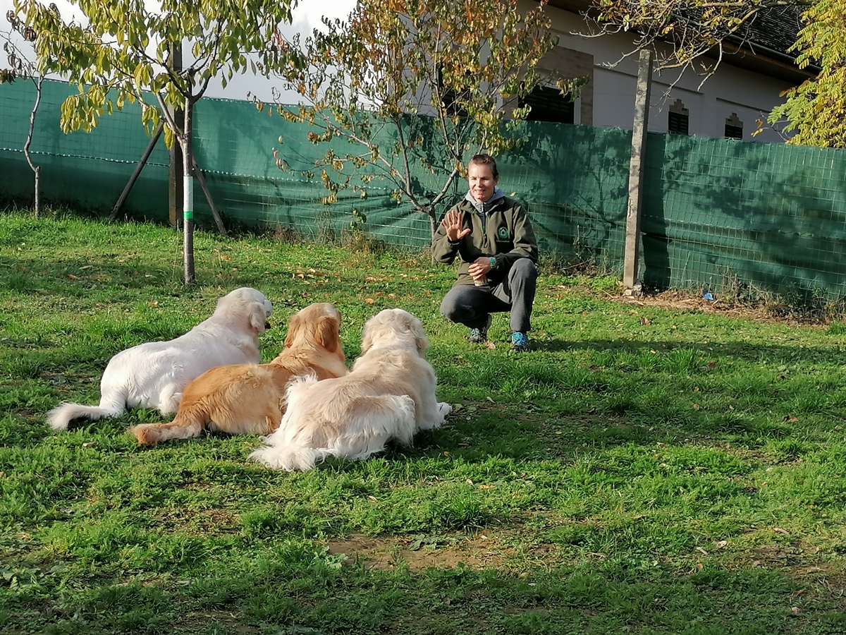 kutyaképzés Szederkény családiasan